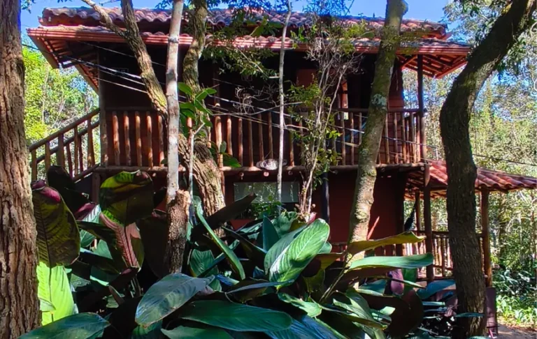 Chalé da Mata Pousada Prana Lorien Vista de Frente da Mata